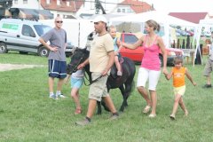 2008vtsz136_20080817_2060450790