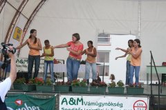 2008vtsz154_20080817_1365387712