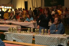 2008vtsz34_20080817_1150057383