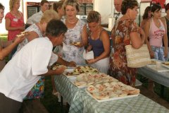 2008vtsz42_20080817_2043078786