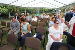 felsovamos_55_20180814_1121746674