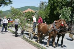 szlovak29_20090513_1920239403