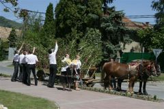 szlovak30_20090513_1851247522
