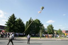 szlovak43_20090513_1214714439