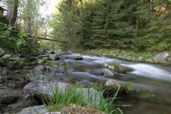 szlovak6_20090513_1984097303