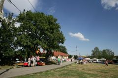 20120718_1475822745__y9k8772