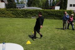 gyermekvetelkedo2019_113_20190529_1843535601