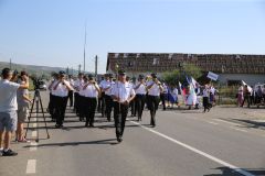 LM236310