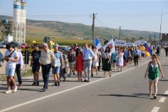 LM236328