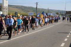 LM236332