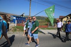 LM236364
