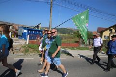 LM236365