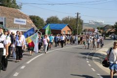 LM236385