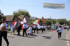 LM236593