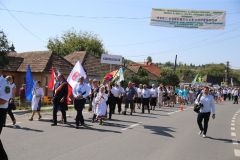 LM236596