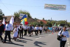 LM236599