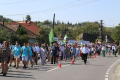 LM236604