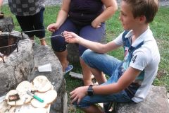 nav_tabor_5_20170807_1852793322