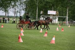 20130616_1531562511__y9k7544