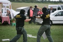 20130616_1644678457__y9k7371
