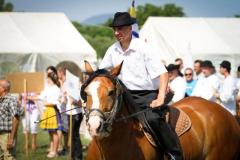 20160701_1670357459_nemzetkozitalalkozo2016011