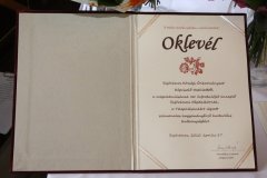 vendegsegben2_20100511_1425978663