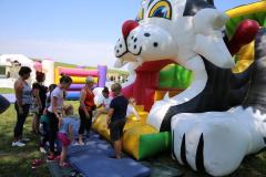 vtsz_fotok_77_20190807_1529972576